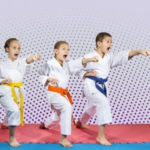 Martial Arts Lessons for Kids in Louisville  KY - Punching Focus Kids Sync